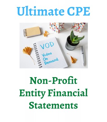 Non-Profit Entity Financial Statements